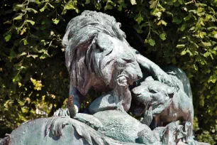Lion and lioness fighting over a wild boar, Tuileries, Paris