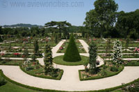 The Rose Garden of the Parc de Bagatelle