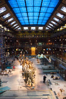 Grande Galerie de l'Évolution, Muséum National d'Histoire Naturelle, Paris