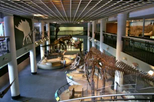 Dinosaur Hall, Academy of Natural Sciences, Philadelphia
