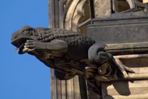 Gargoyle on the facade of the St. Vitus Cathedral in Prague