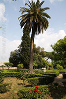 Farnese Gardens, Palatine Hill