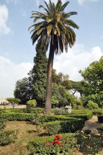 Farnese Garden, Palatine Hill