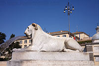 Statue of an Egyptian Lion at the Piazza del Popolo