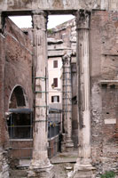 Columns of the Porticus of Octavia