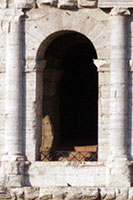 Detail of an arch on the second level