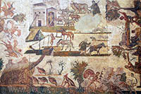 Roman Mosaic in the Museo della Civilta Romana, Rome