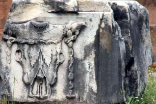 Relief with an ox-skull, the Basilica Aemilia, Forum Romanum
