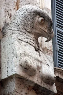 Sculpture of a falcon head, Palazzo Falconieri