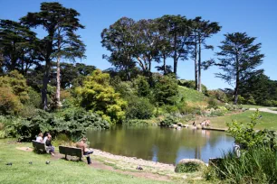 Botanical Garden, Golden Gate Park, San Francisco