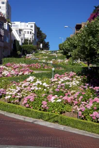 Lombard Street, San Francisco's Crookedest street