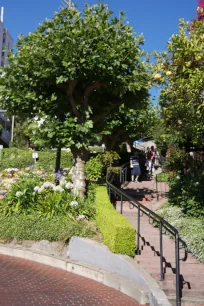 Lombard Street staircase for pedestrians, San Francisco's Crookedest street