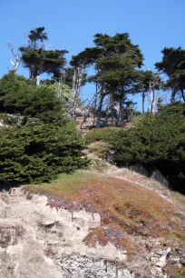 Sutro Heights Park, San Francisco