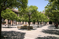 Patio de los Naranjos, Seville Cathedral