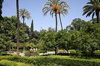Maria Luisa Park, Sevilla, Spain