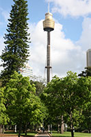 Sydney Tower seen from Hyde Park