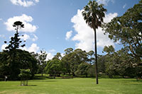 royal botanical gardens in Sydney