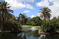 Main Pond, Royal Botanic Gardens