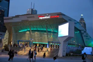 Ripley's Aquarium of Canada in Toronto