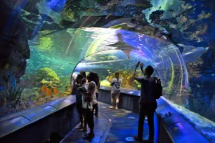 Underwater tunnel, Ripley's Aquarium of Canada in Toronto