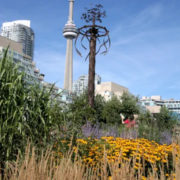 Music Garden, Toronto