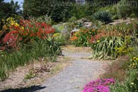 UBC Botanical Garden, Vancouver