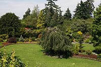 Queen Elisabeth Park in Vancouver, British Columbia