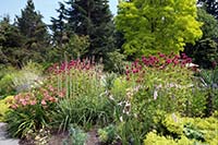 VanDusen Botanical Garden, Vancouver
