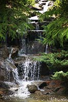 Waterfall at the VanDusen Botanical Garden