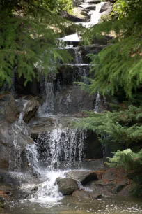 Waterfall in the VanDusen Botanical Garden in Vancouver