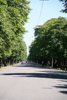 Hauptallee, Prater, Vienna, Austria