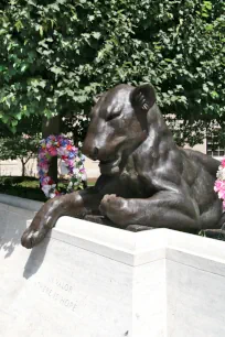 Statue of a lioness, National Law Enforcement Officers Memorial, Washington, DC