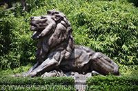Lion Statue, Washington National Zoological Park