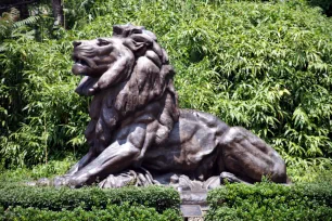 Lion Statue, Washington National Zoological Park