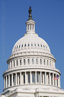 The Dome of the US Capitol in Washington DC
